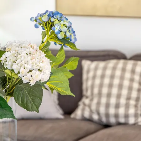 ヴィラ Paradise エル・カンページョ